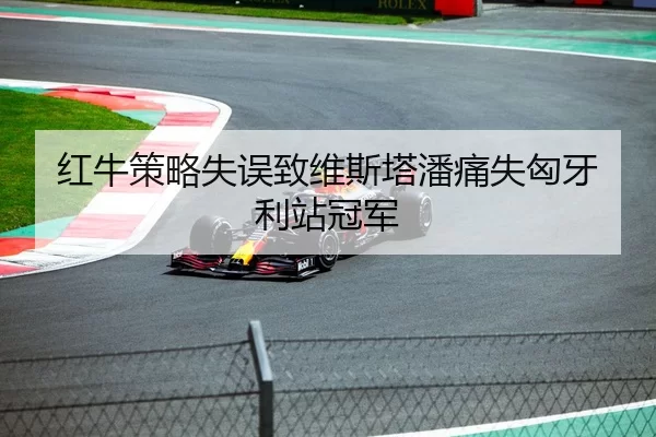 红牛策略失误致维斯塔潘痛失匈牙利站冠军
