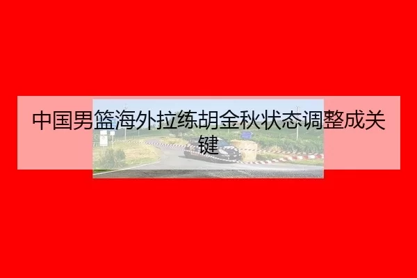 中国男篮海外拉练胡金秋状态调整成关键