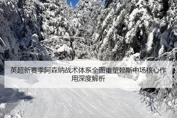 英超新赛季阿森纳战术体系全面重塑赖斯中场核心作用深度解析