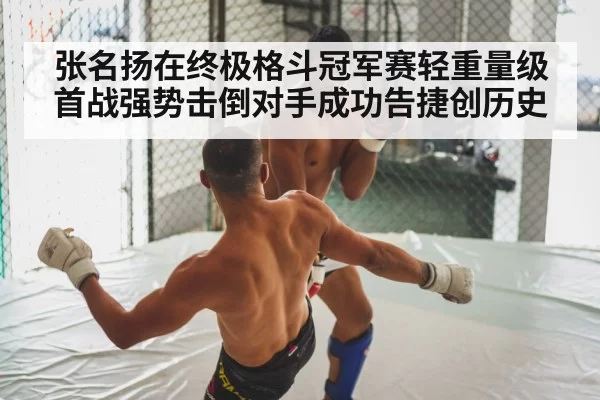 张名扬在终极格斗冠军赛轻重量级首战强势击倒对手成功告捷创历史