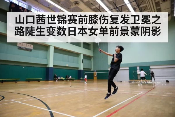 badminton court action