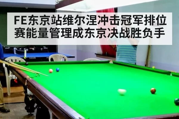 FE东京站维尔涅冲击冠军排位赛能量管理成东京决战胜负手